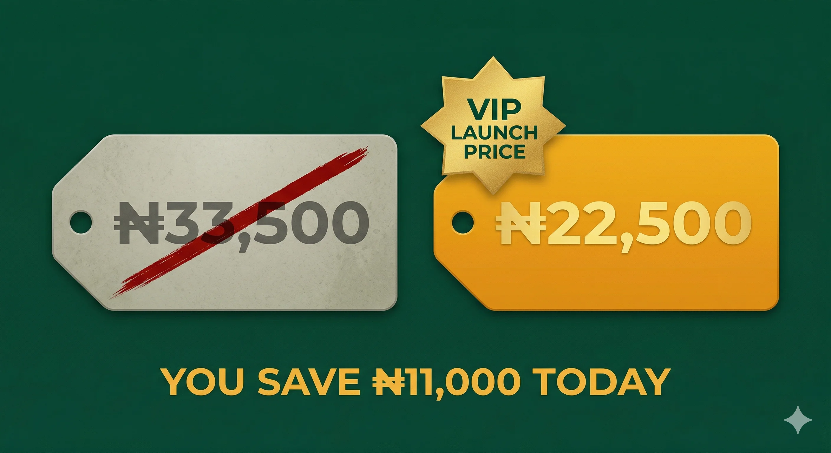 VIP Launch Discount — ₦11,000 off